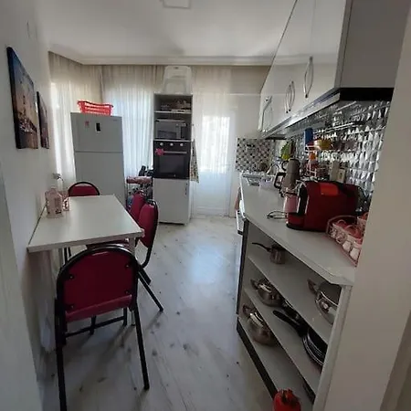 2+1 Merkezi Ev